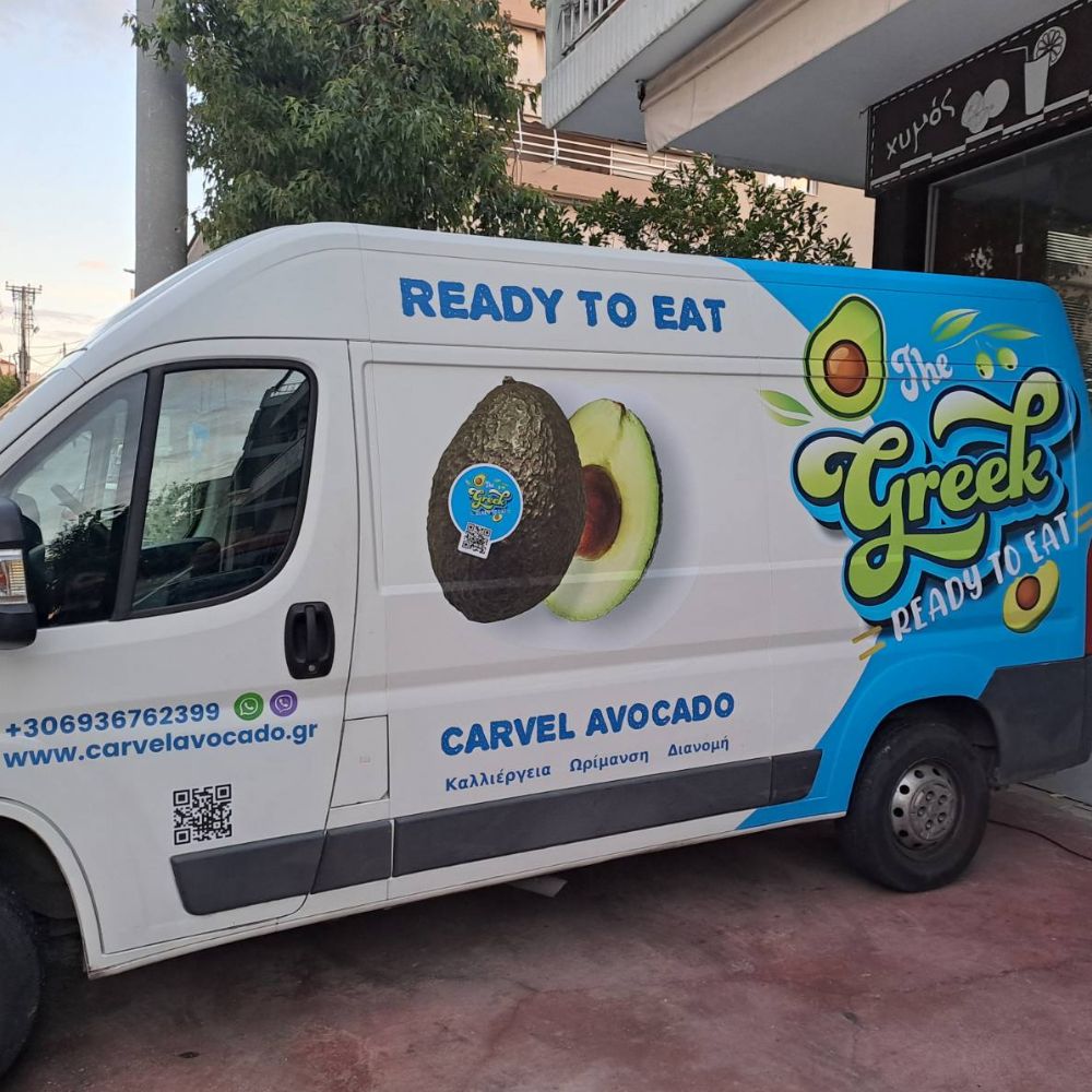 ntysimo-aytokinitoy-aytokolita-vinilia-polymerika-cast-avocado1-meriko