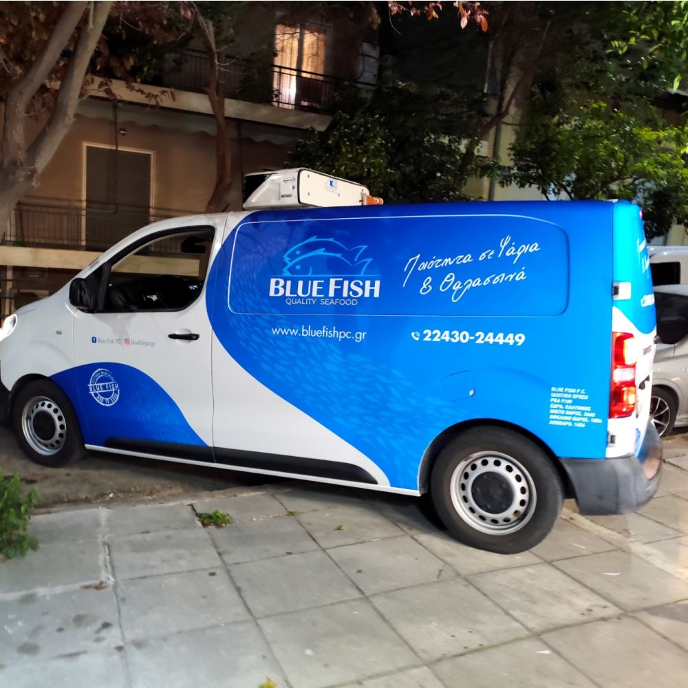 ntysimo-aytokinitoy-van-cast-bluefish