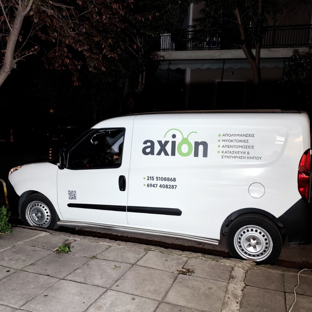 ntysimo-aytokinitoy-van-vinilia-axion2