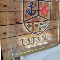 foteini-epigrafi-moriakou-fotismou-tatanis-vinyl